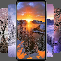Winter wallpapers- 4k animals