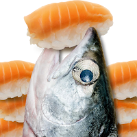 鮭魚吃壽司