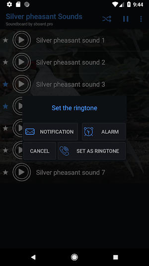 Silver pheasant sounds ~ Sboard.pro Screenshot 2