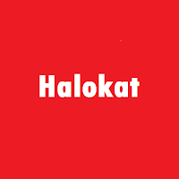 Halokat