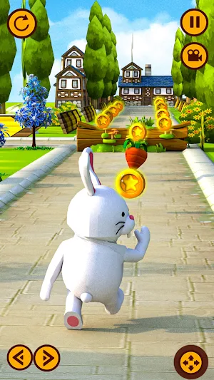 Rabbit-Cat Running Games Screenshot 2