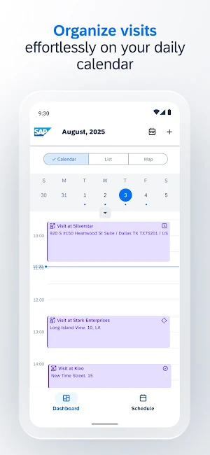 SAP Retail Execution Screenshot 1