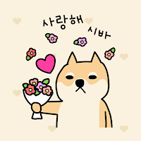 카카오톡 테마 - 뭘봐시바_사랑해 시바
