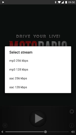 МОТОРАДИО Screenshot 1
