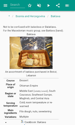 Bosnia and Herzegovina Screenshot 2