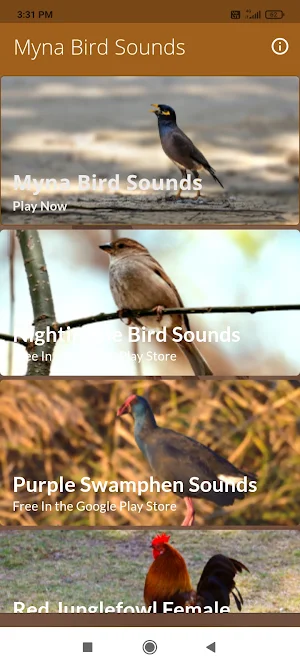 Mynas Bird Sounds Screenshot 0