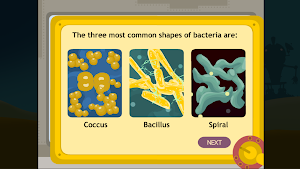Kingdom Monera (Bacteria) Screenshot 1