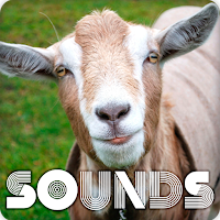 Goat Sound Ringtones