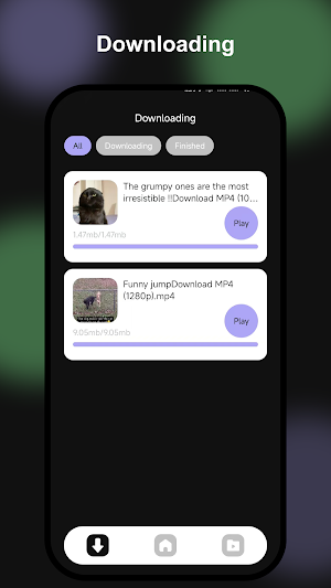 XT Video Downloader Screenshot 3