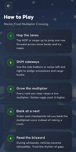 Chicken Snow Road Screenshot 3