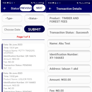 Nickles Informal Sector Screenshot 1