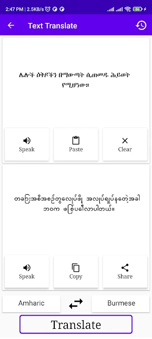 Amharic To Burmese Translator Screenshot 1