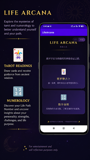 Life Arcana Screenshot 3