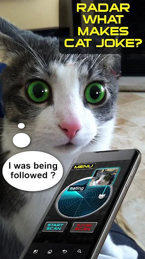 Radar What Makes Cat Joke Screenshot 0