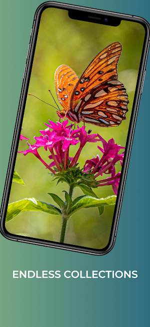 Butterfly wallpaper-4k cool Screenshot 2