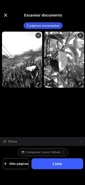 DocuSnap Screenshot 2