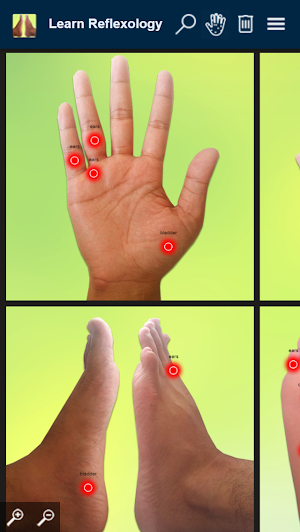 Learn Reflexology Areas Screenshot 3