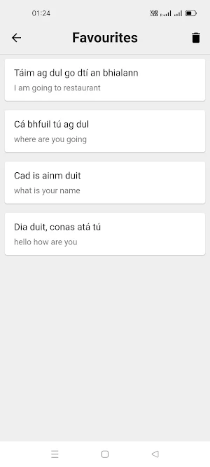 Irish To English Translator Screenshot 2