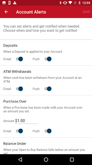 Money Network® Mobile App Screenshot 3
