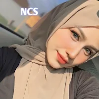 NCS offline 04