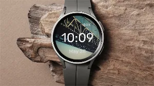 Majestic Bridge - Watch Face Screenshot 1