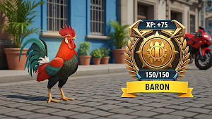 Angry Chicken Traditional Game Screenshot 2