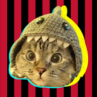 Cat Sounds