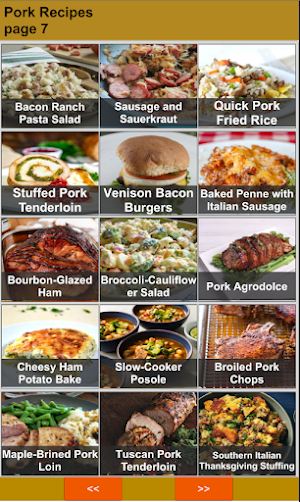 150 Best Pork Recipes Offline Screenshot 3