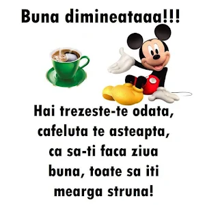 Buna dimineata Screenshot 2