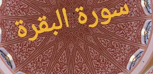 سورة البقرة - suratalbaqarah- Screenshot 0