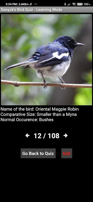 Bird Quiz by Danyck Screenshot 2
