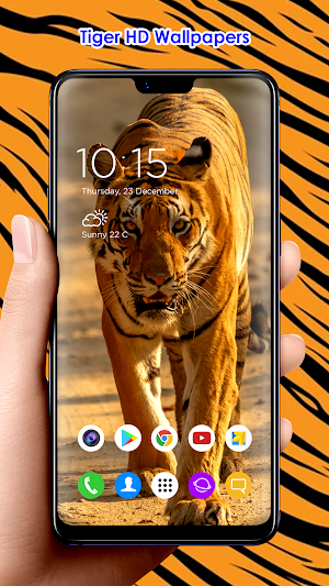 Tiger HD Wallpapers Screenshot 3