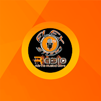 FLEX STUDIO RADIO TV