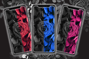 Black Flower Wallpaper Screenshot 2