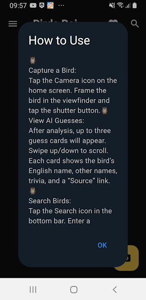 Birds Bai Screenshot 0
