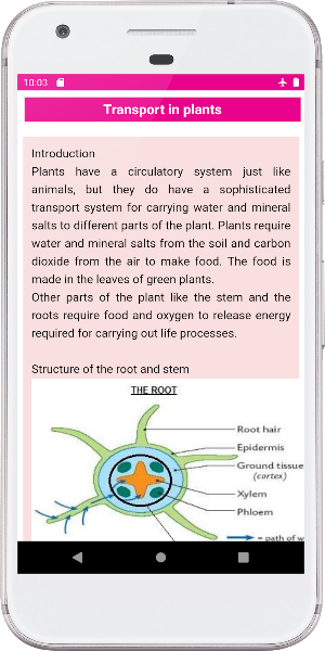 GCSE Combined Science Screenshot 2