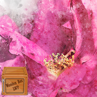 peony flower wallpaper