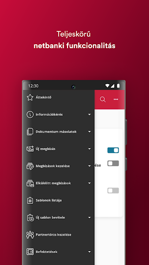 MKB Vállalati Mobilalkalmazás Screenshot 3