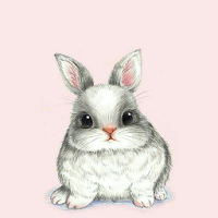 Rabbit Wallpaper 4K