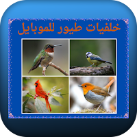 خلفيات طيور للموبايل