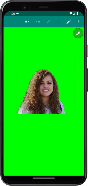 Passport Photo Screenshot 2