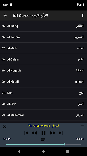 أحمد النفيس قرآن بدون نت Screenshot 2