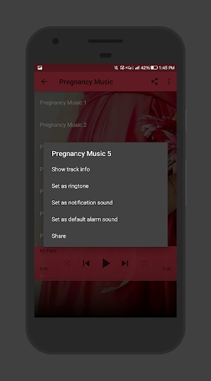 Pregnancy Music Screenshot 2
