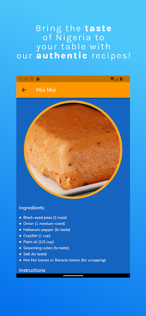 Nigerian Recipes Screenshot 3