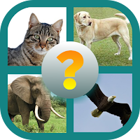 Guess the Animal