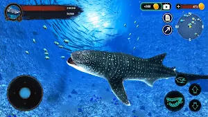 The Whale Shark Screenshot 1