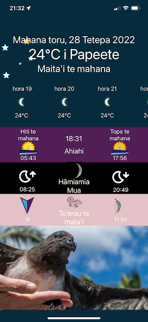 Ra'i Screenshot 2