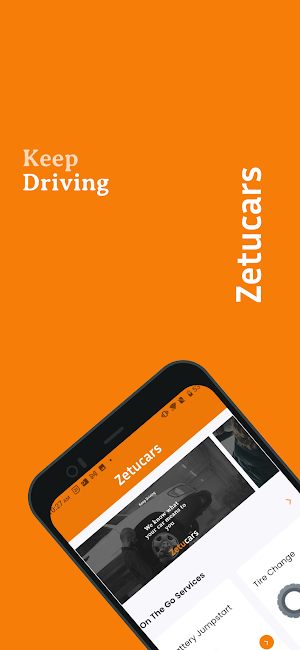 Zetucars Screenshot 2