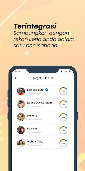 Sales Suport System Screenshot 1