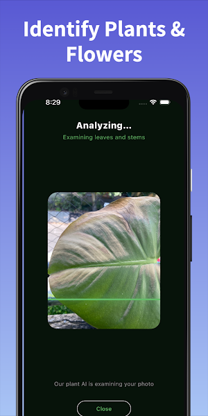 Plant Doctor: Photo Diagnosis Screenshot 2